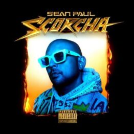 105744-sean-paul-scorcha-LP-6242c205d8231
