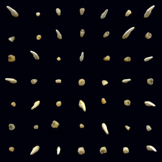 2025/09/1000010497.jpg 2025/09/1000010497.jpg